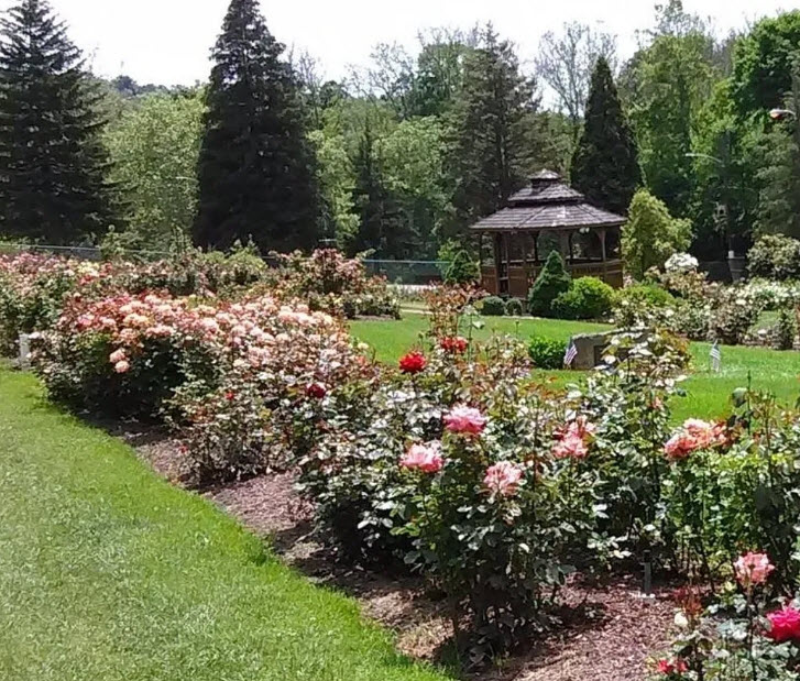 Rose Garden at McKeesport Garden Club, United States